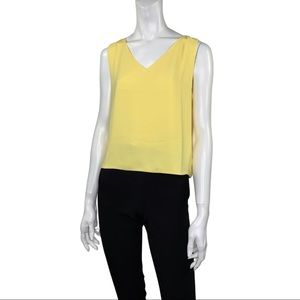 Aritzia Babaton Murphy Blouse